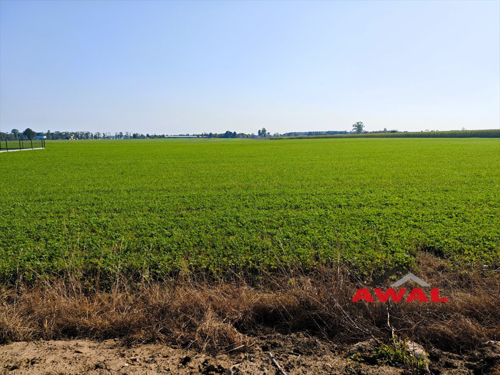 Działka budowlana na sprzedaż Połczyno, Polna  800m2 Foto 3