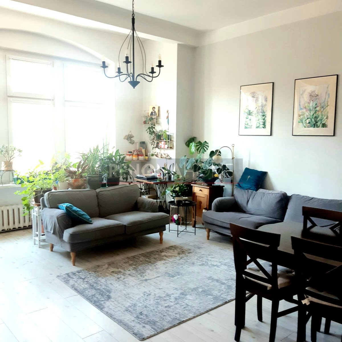 Mieszkanie dwupokojowe na sprzedaż Legnica, Stefana Okrzei  62m2 Foto 1