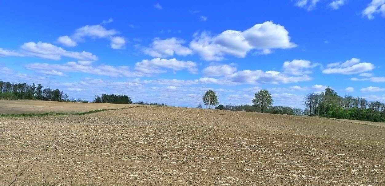 Działka rolna na sprzedaż Raczki  86 000m2 Foto 4