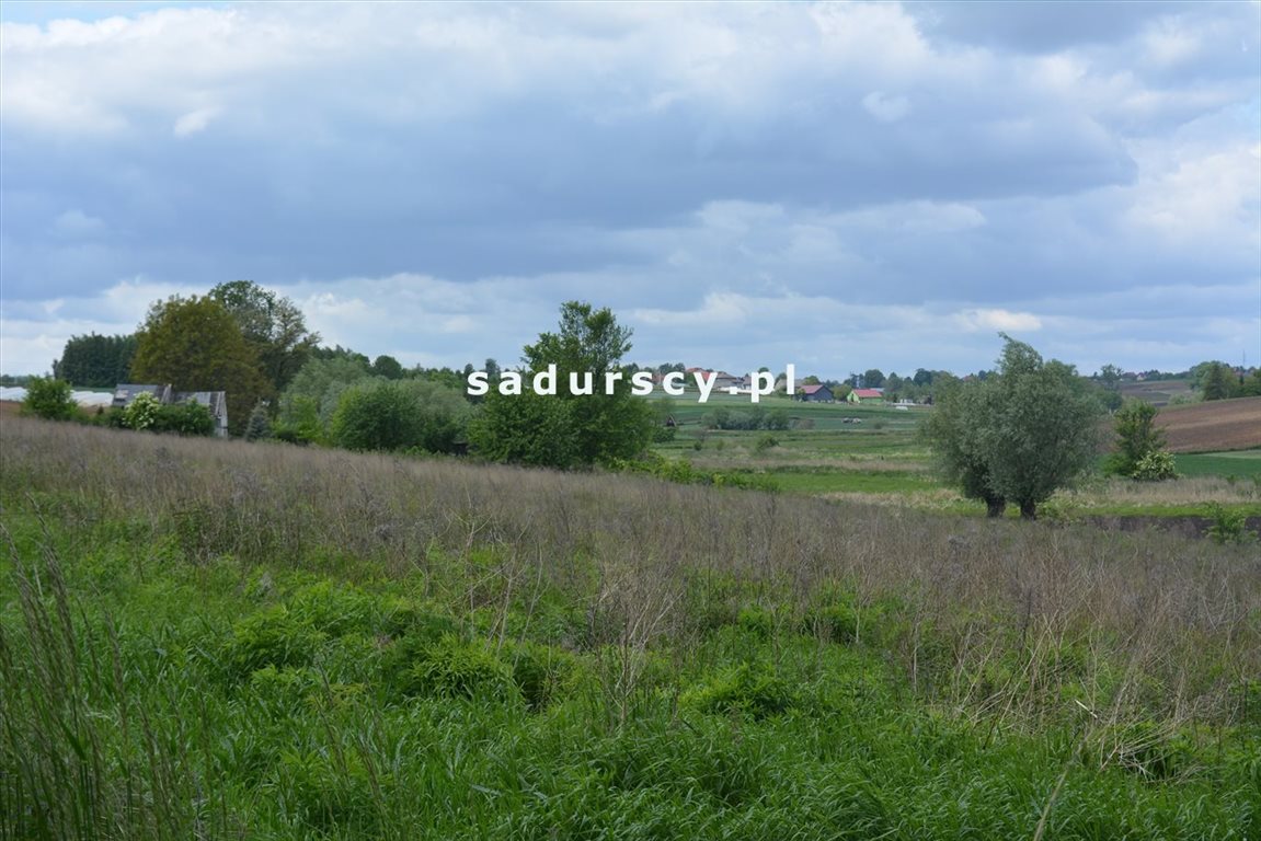 Działka budowlana na sprzedaż Glewiec  1 313m2 Foto 2