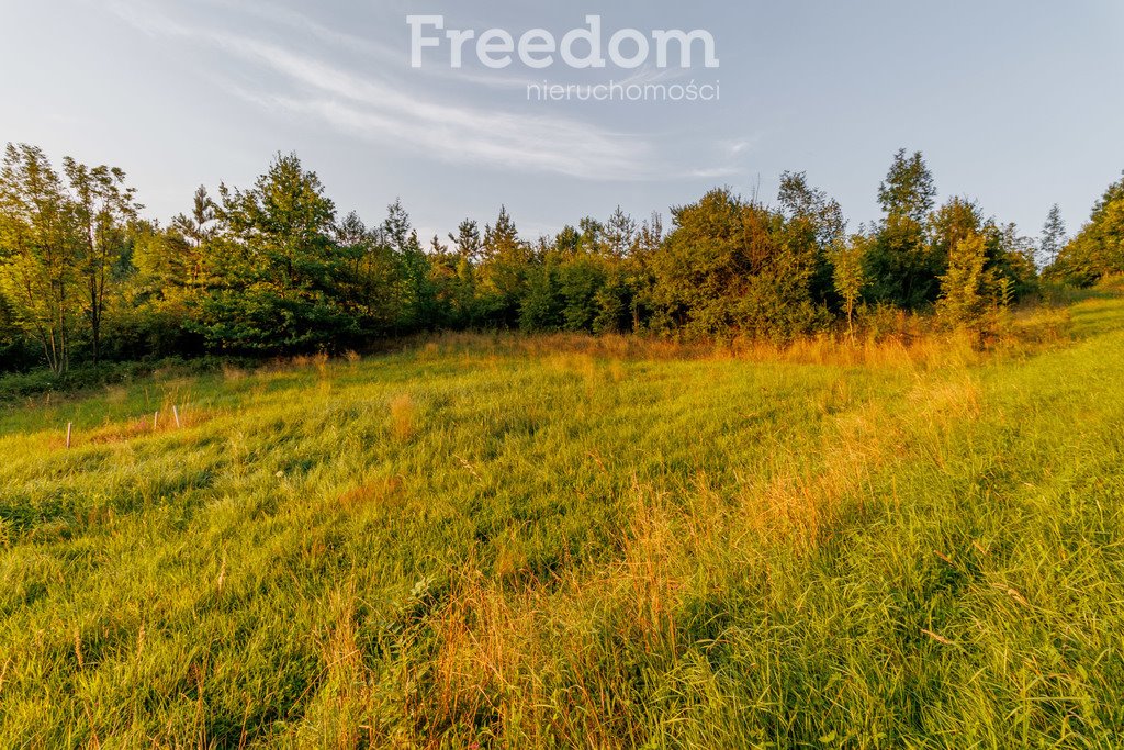 Działka budowlana na sprzedaż Zabłędza  9 218m2 Foto 6