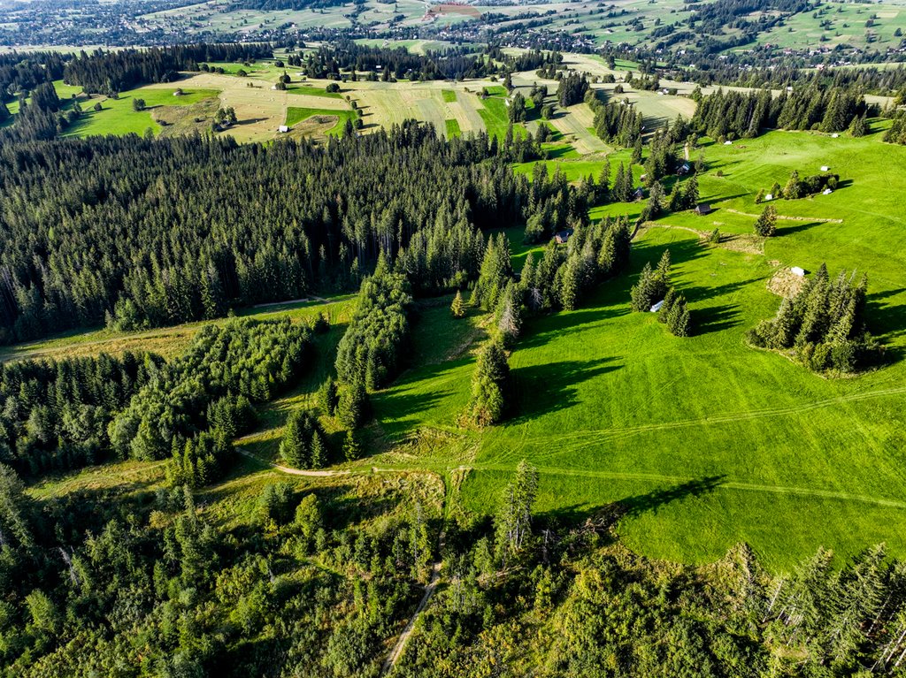 Działka rolna na sprzedaż Dzianisz  6 560m2 Foto 15