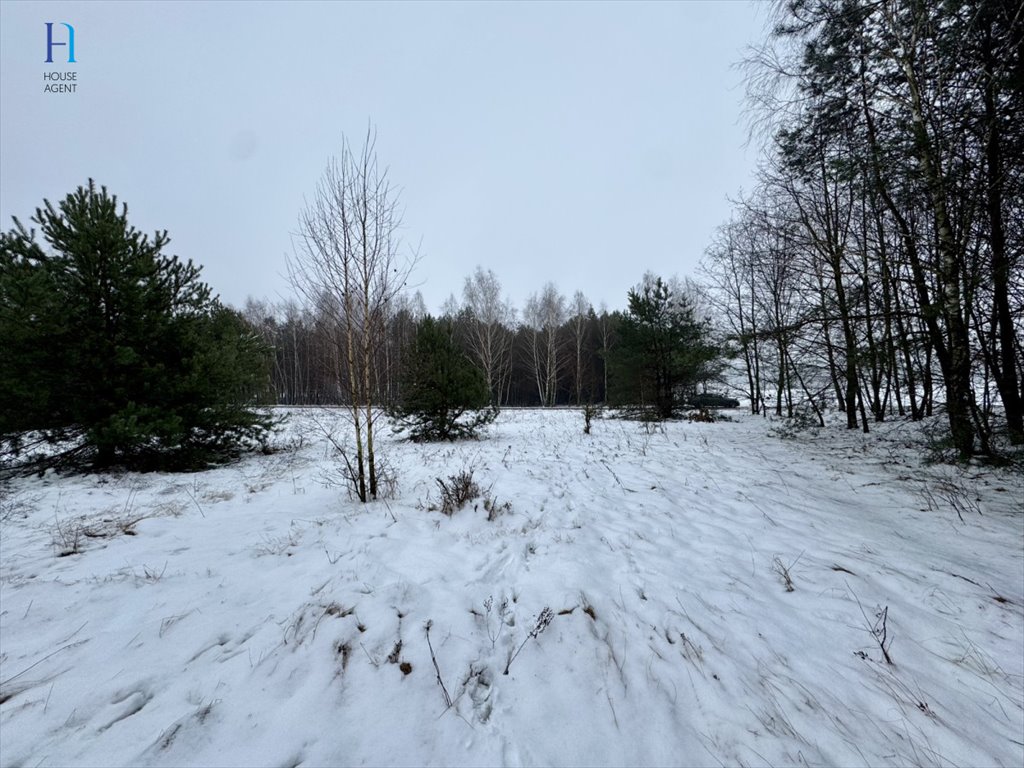 Działka leśna na sprzedaż Iwonie  27 100m2 Foto 8