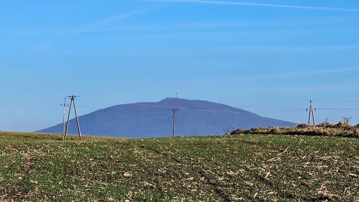 Działka siedliskowa na sprzedaż Krzczonów  8 400m2 Foto 8