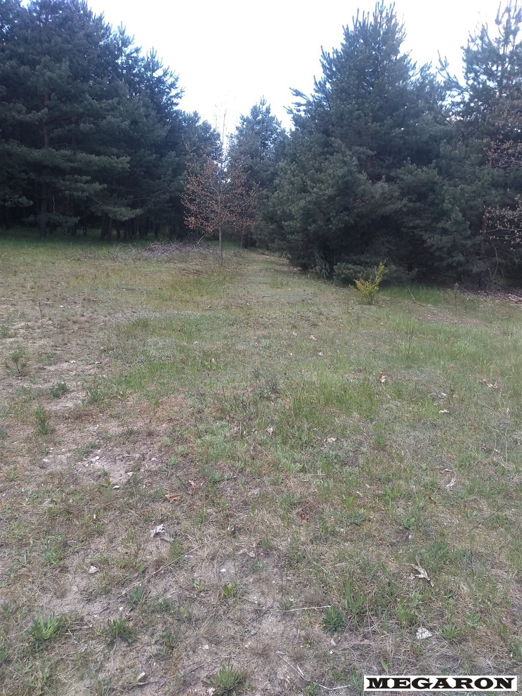 Działka inna na sprzedaż Skrajnica  9 870m2 Foto 3