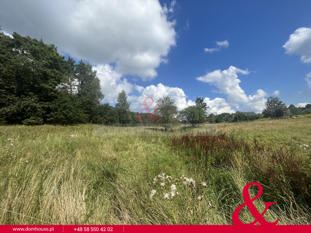 Działka budowlana na sprzedaż Gromadzin  3 300m2 Foto 8