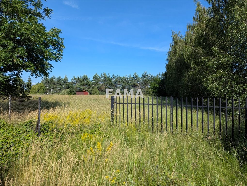 Zapraszam do obejrzenia działki 3523 m² z warunkami zabudowy Śmiłowice  3 523m2 Foto 1