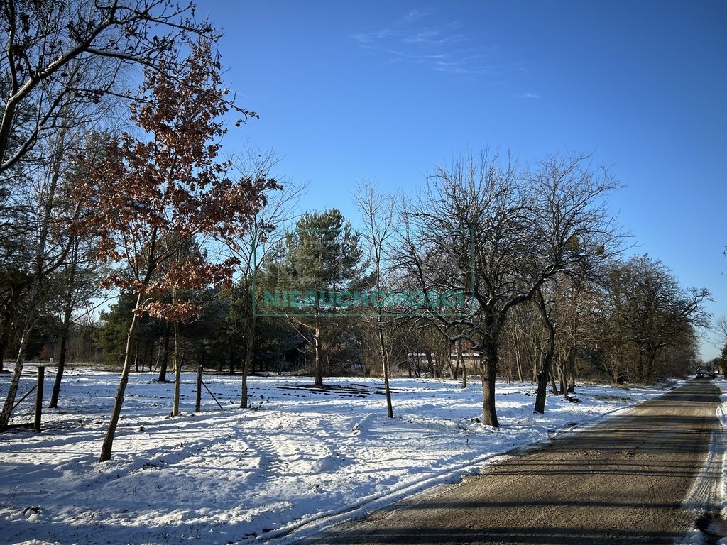 Działka usługowa 7 800 m² w Radziejowicach, blisko S8 Żyrardów  7 800m2 Foto 1