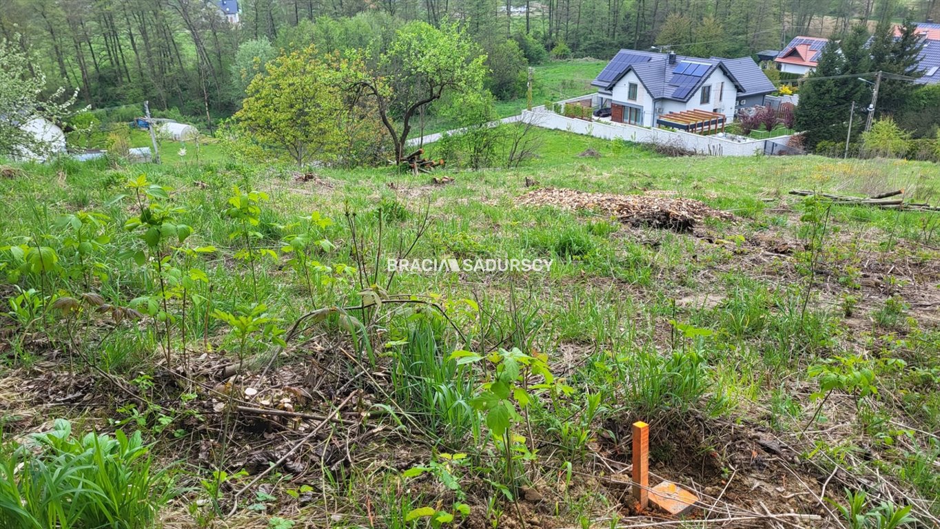 Działka budowlana na sprzedaż Michałowice, Koźlica  3 642m2 Foto 7