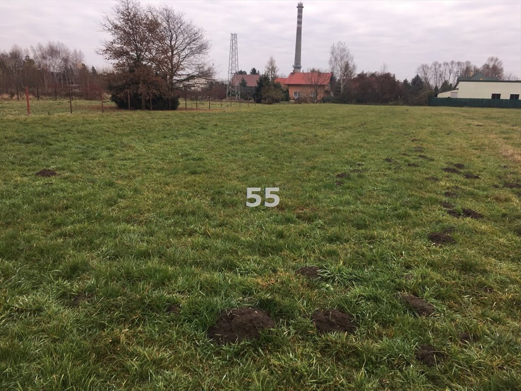 Działka inna na sprzedaż Petrykozy  2 656m2 Foto 3