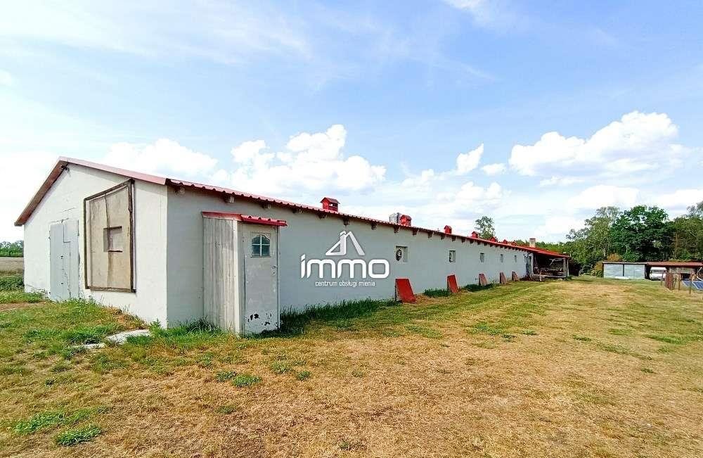 Na sprzedaż: duża działka 6000 m² z budynkami w Kamieniu Kamień  750m2 Foto 1