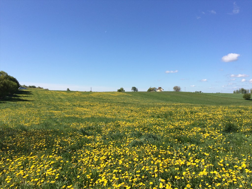 Działki w Krainie Wielkich Jezior Mazurskich - polecam Giżycko  1 100m2 Foto 1