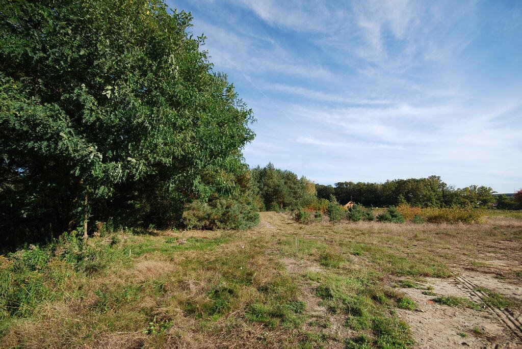 Działka budowlana na sprzedaż Grodzanów  1 000m2 Foto 1