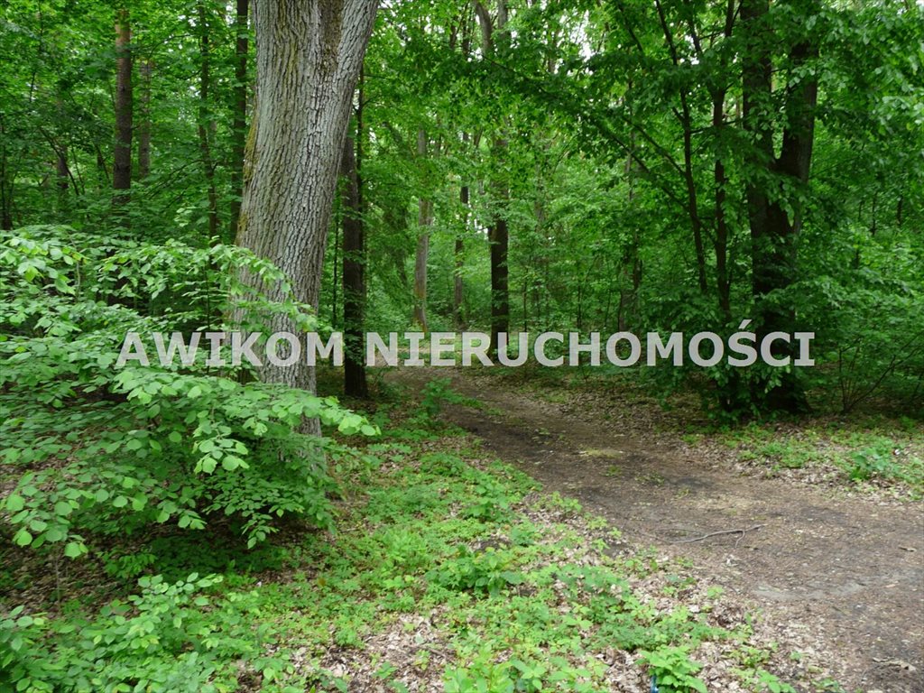 Działka leśna na sprzedaż Budy Chojnackie  2 100m2 Foto 1