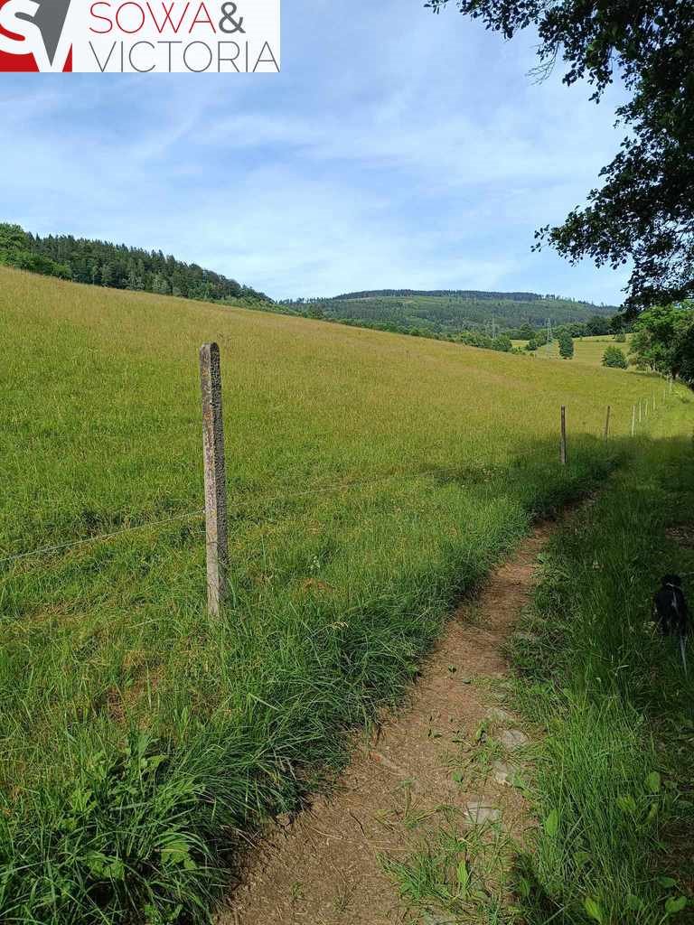 Działka inna na sprzedaż Ludwikowice Kłodzkie  4 000m2 Foto 2