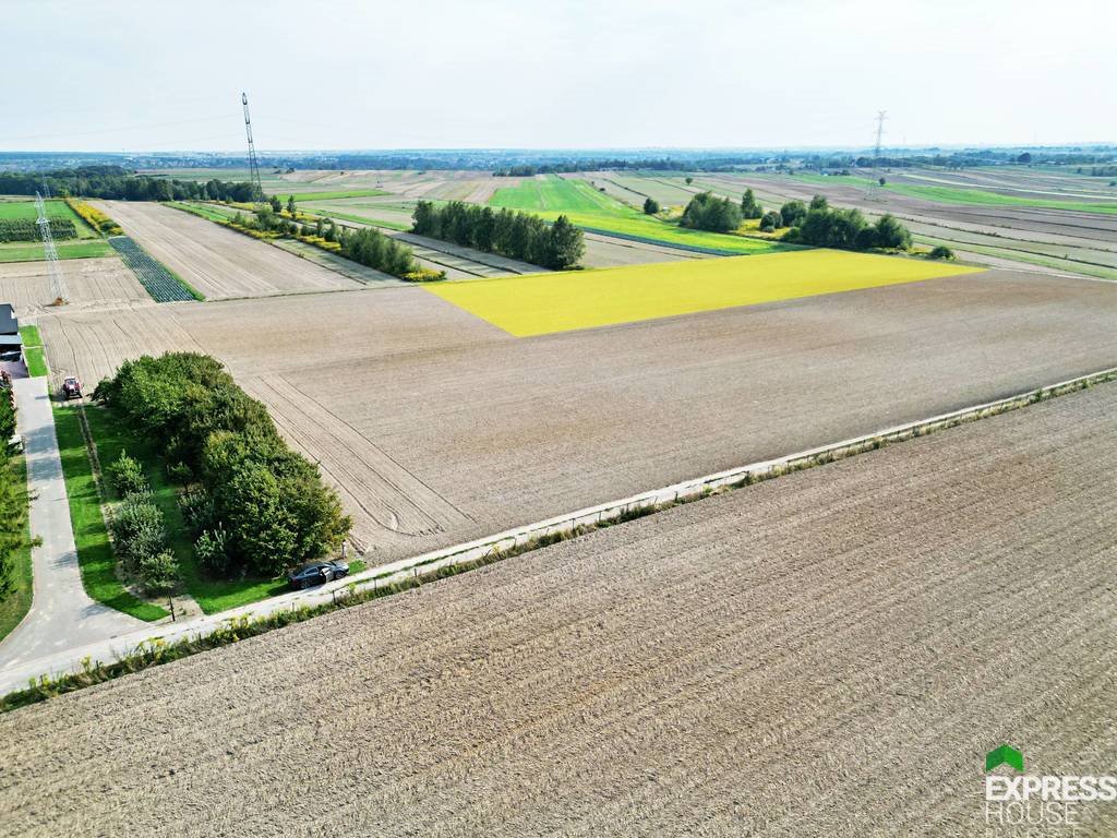 Działka rolna na sprzedaż Dziuchów  10 900m2 Foto 1