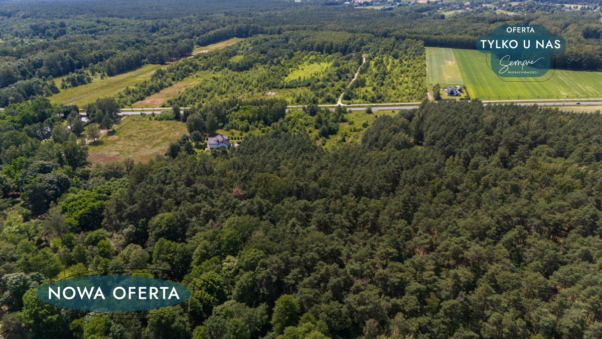 Działka budowlana na sprzedaż Huta Dłutowska, Pabianicka  17 512m2 Foto 10