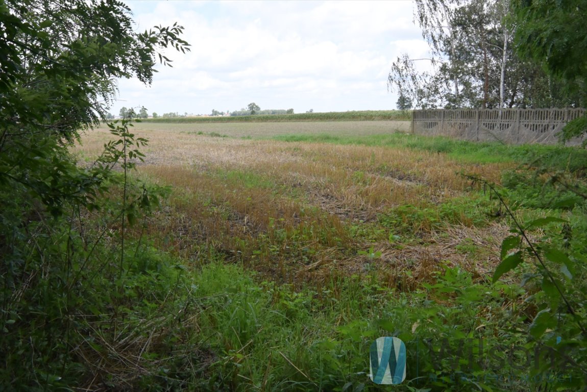 Działka rolna na sprzedaż Zakrzew  16 300m2 Foto 2