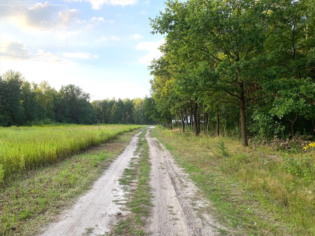 Działka budowlana na sprzedaż Sulejówek  905m2 Foto 6