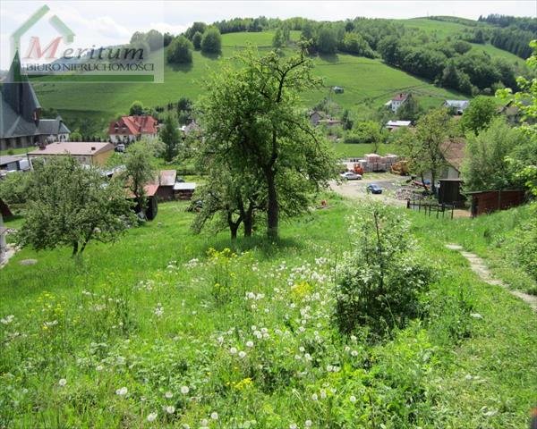 Działka budowlana na sprzedaż Polska, Polska, Polska  40 000m2 Foto 10