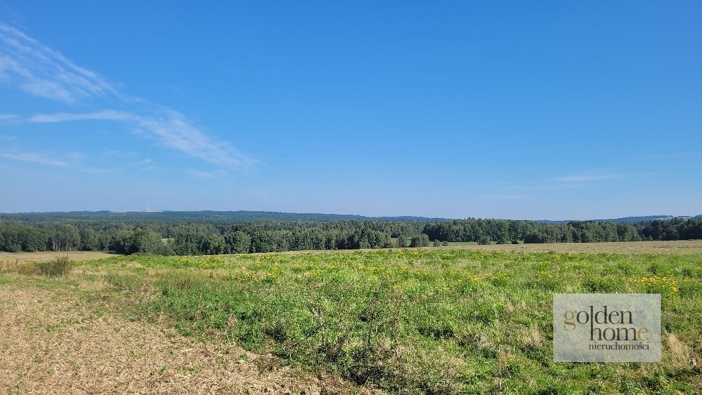 Działka budowlana na sprzedaż Gryfów Śląski, Krzewie Wielkie  1 277m2 Foto 12