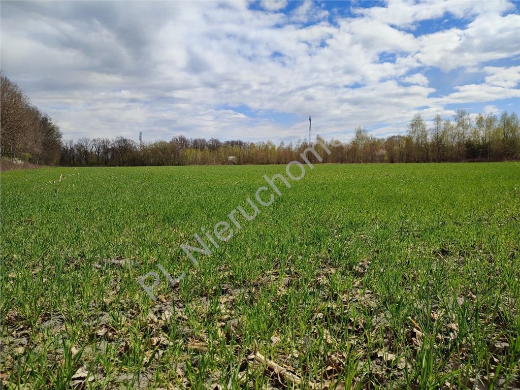 Działka 1800 m² pod zabudowę w Odrano-Woli - blisko rekreacji Odrano-Wola  1 800m2 Foto 1