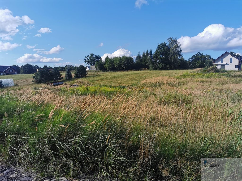 Działka budowlana na sprzedaż Wodzisław Śląski  990m2 Foto 8