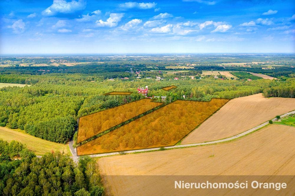 Działka 33 031 m² pod usługi i rekreację w Dąbrowie Dąbrowa, Dąbrowa  33 031m2 Foto 1