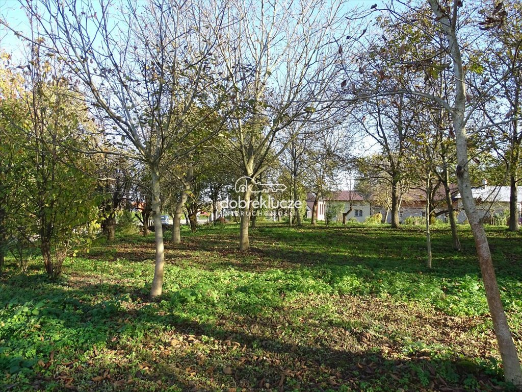 Działka budowlana na sprzedaż Pełkinie  1 510m2 Foto 7