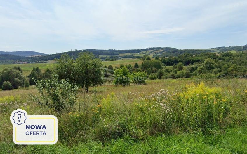 Działka budowlana na sprzedaż Nowa Ruda, Drogosław  1 224m2 Foto 1