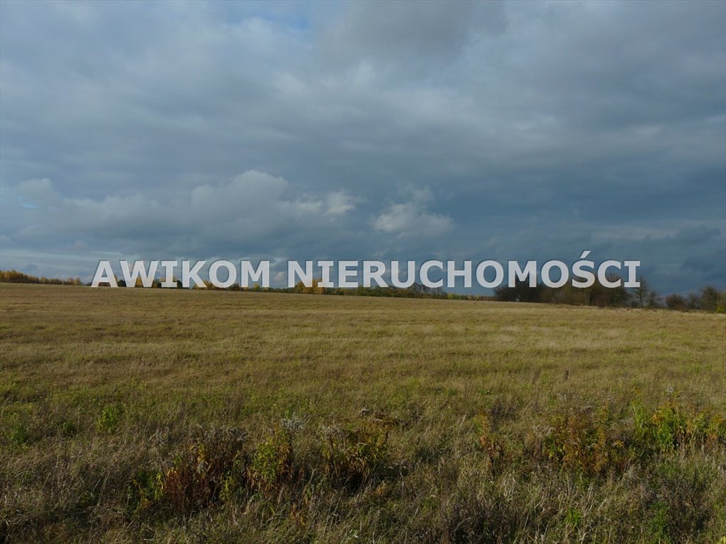 Działka inwestycyjna na sprzedaż Puszcza Mariańska, Wycześniak  162 570m2 Foto 8