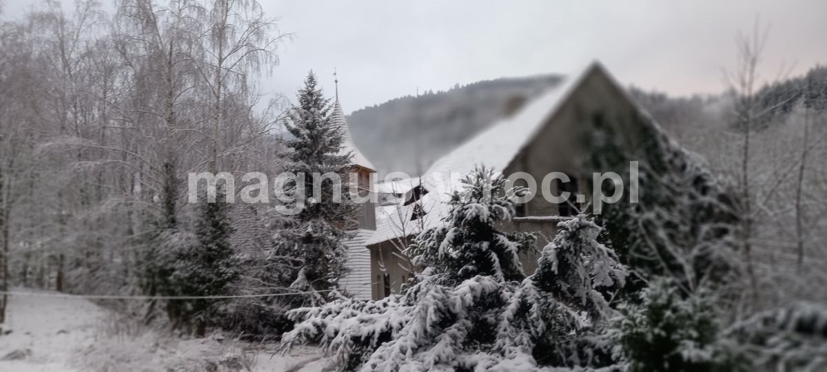 Dom na sprzedaż Grzmiąca, Wiejska  250m2 Foto 1