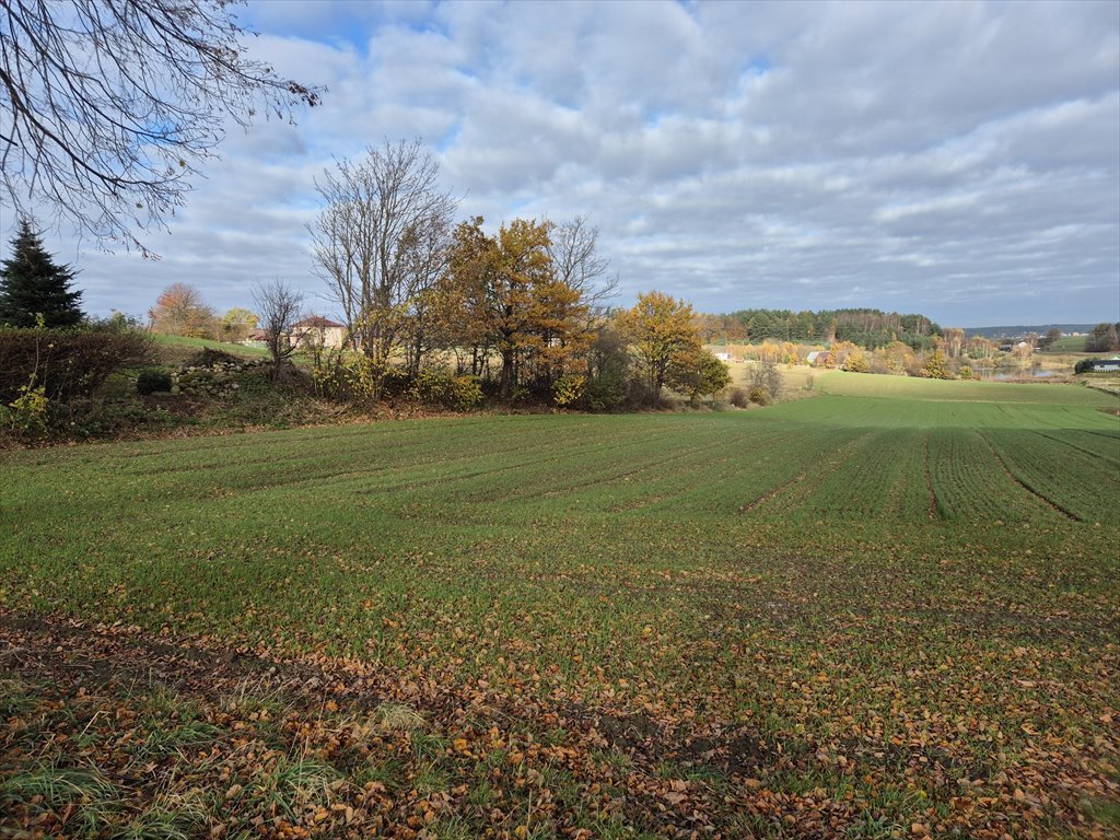 Działka budowlana na sprzedaż Barłomino  10 400m2 Foto 3