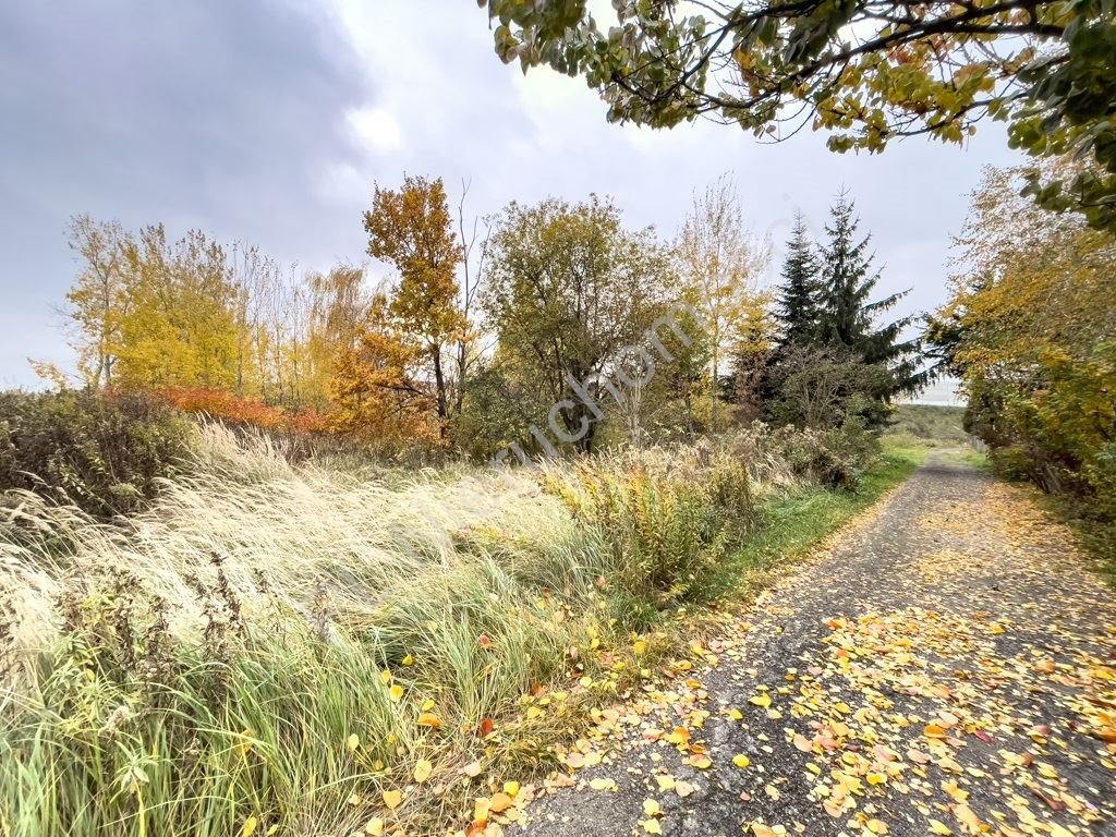 Działka inna na sprzedaż Sękocin Nowy  2 210m2 Foto 2