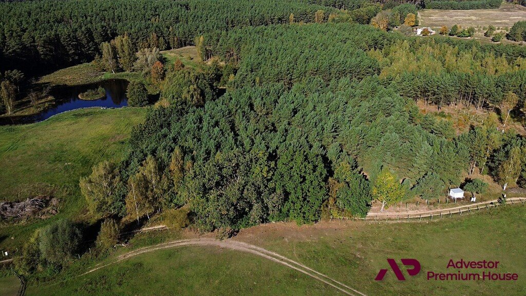 Działka budowlana na sprzedaż Łowyń, Dormowska  4 998m2 Foto 9