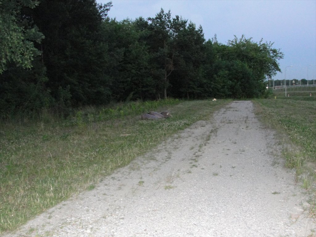 Działka leśna z prawem budowy na sprzedaż Otwock, Wólka Mlądzka, Szosa Lubelska  2 985m2 Foto 5