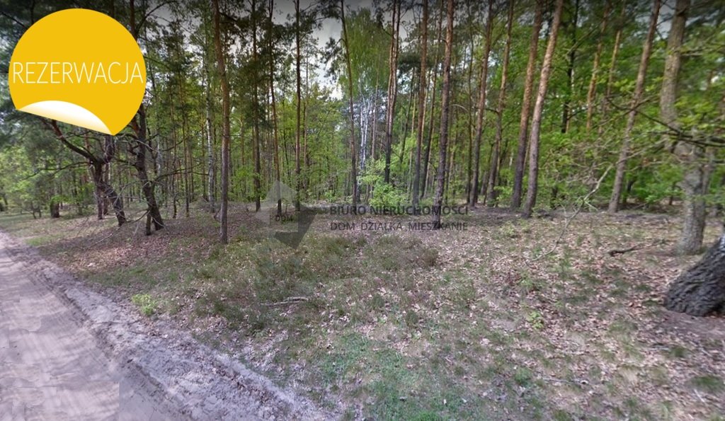 Do sprzedania działka leśna 9 616 m² z dużym potencjałem rekreacyjnym Warszawa, Wawer, Anin  9 616m2 Foto 1