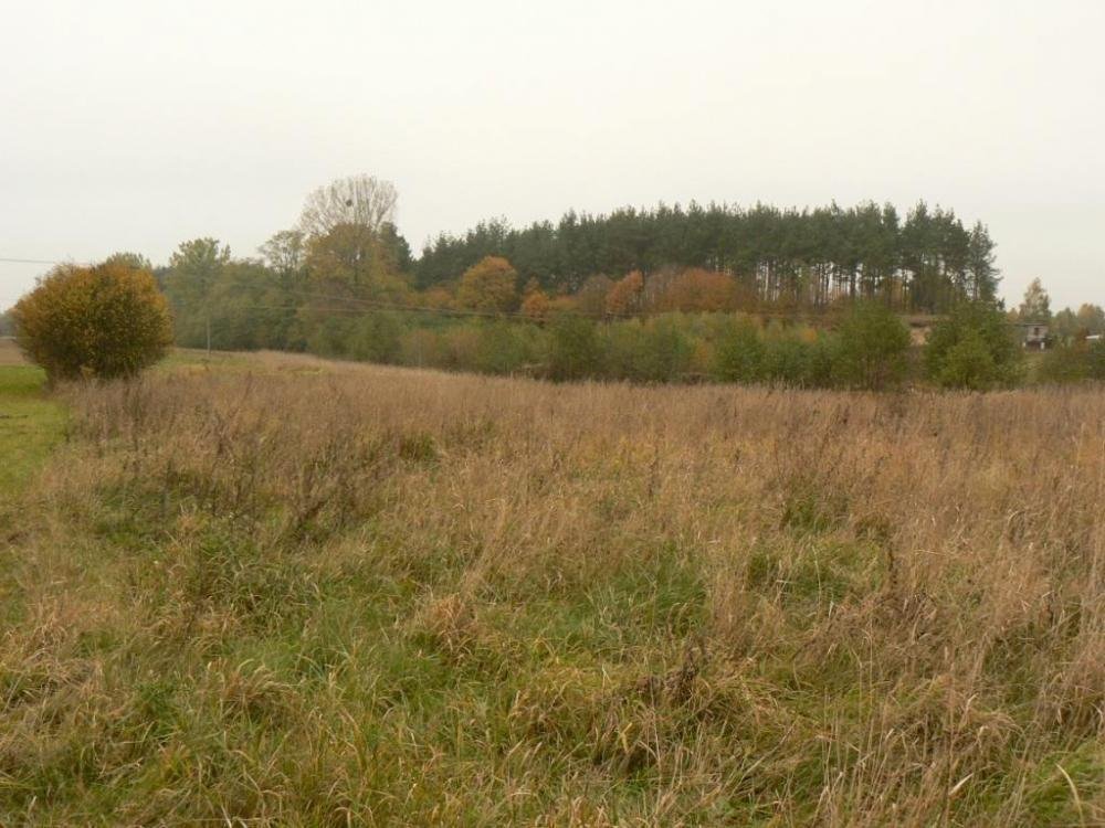 Działka inna na sprzedaż Czemlewo  13 600m2 Foto 3