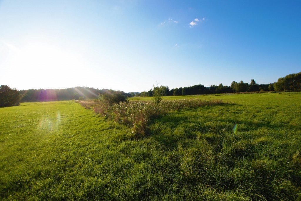 Działka inna na sprzedaż Kielce, Leśniówka  7 129m2 Foto 2