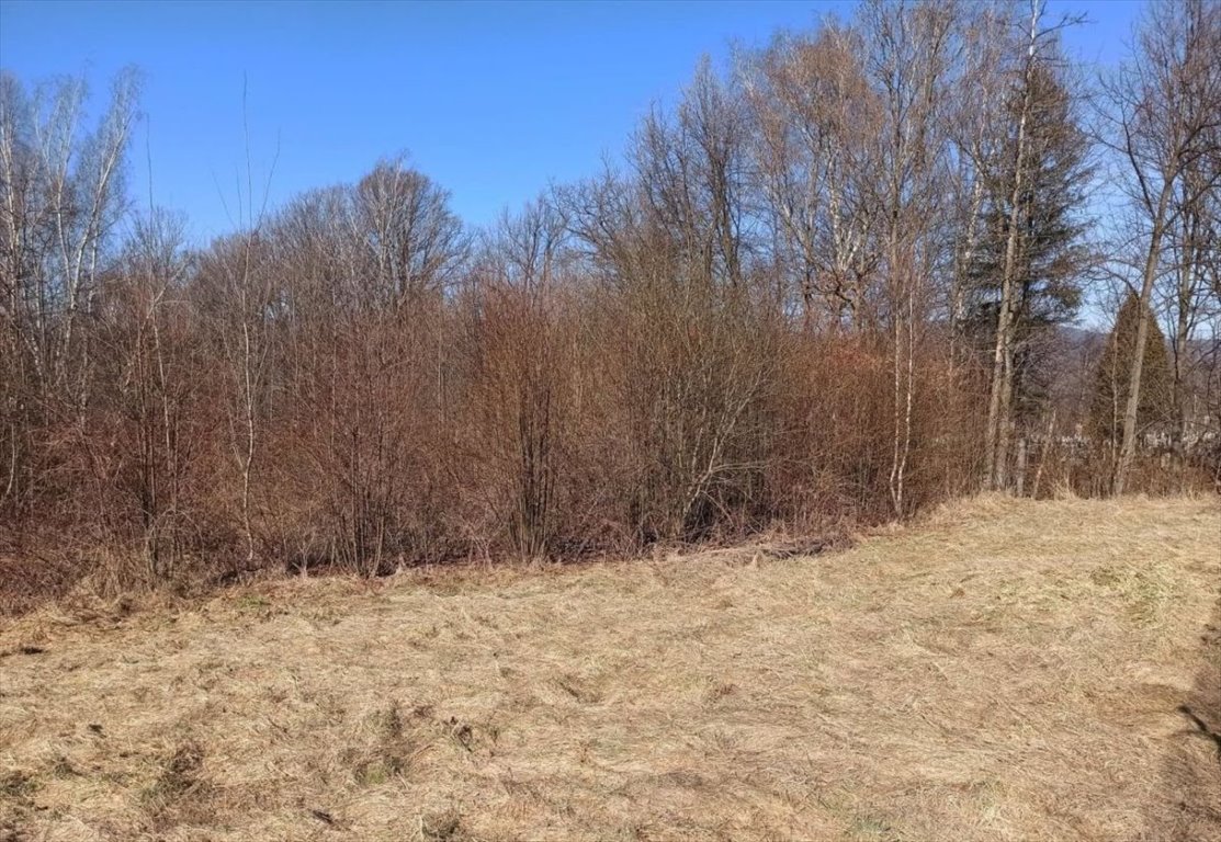 Działka budowlana na sprzedaż Milówka  1 300m2 Foto 10
