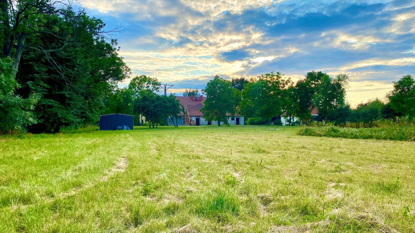 Zielona działka 4100 m² z domem i mediami, sad, ogród Damianowice, Spółdzielcza  4 100m2 Foto 1