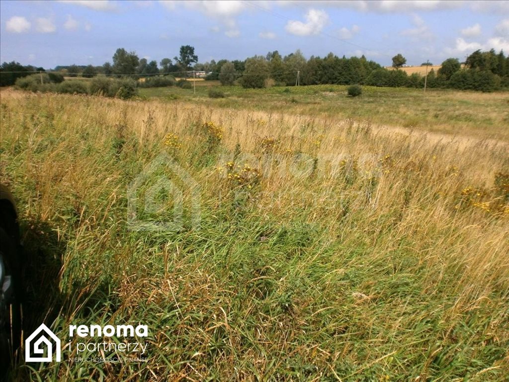 Działka gospodarstwo rolne na sprzedaż Ińsko  1 000 000m2 Foto 3