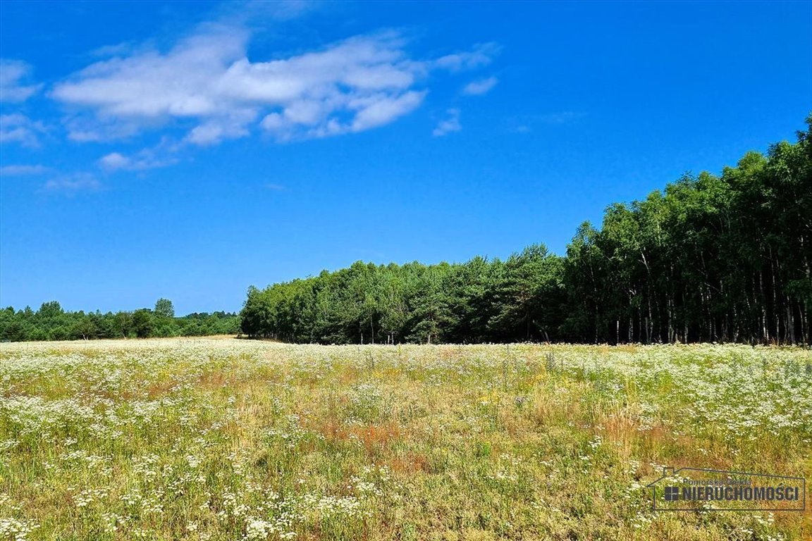 Działka inna na sprzedaż Dołgie  54 000m2 Foto 10