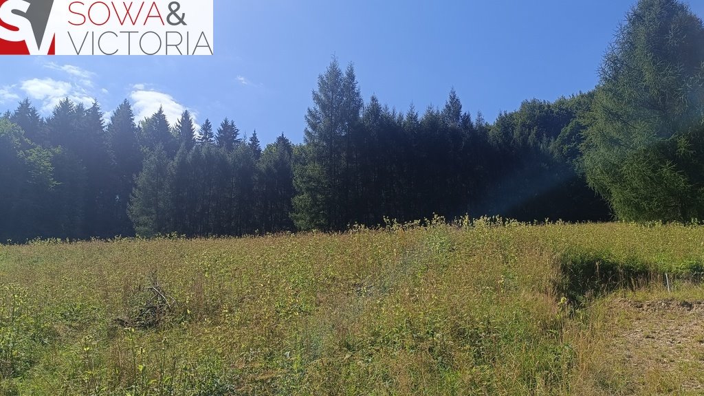 Polecam działkę 16 150 m² w Michałkowej z widokiem na las: Michałkowa
