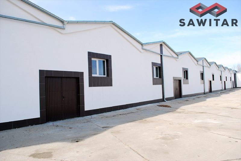 Lokal użytkowy na wynajem Wrocław, Krzyki, Buforowa 1 300m2 Foto 1 Lokal użytkowy na wynajem Wrocław, Krzyki, Buforowa 1 300m2 Foto 1