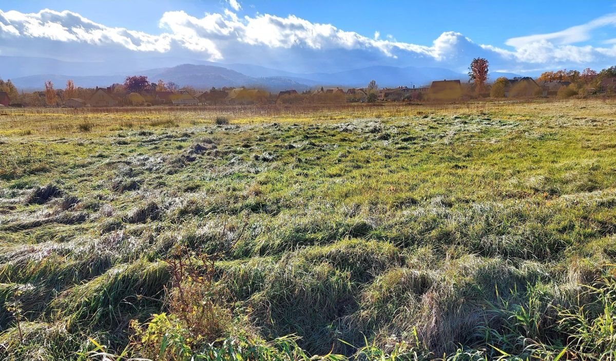 Działka budowlana na sprzedaż Mysłakowice  1 454m2 Foto 4