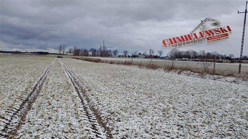 Działka siedliskowa na sprzedaż Warszkowo, Kolonia, Kolonia, Kolonia  6 000m2 Foto 5