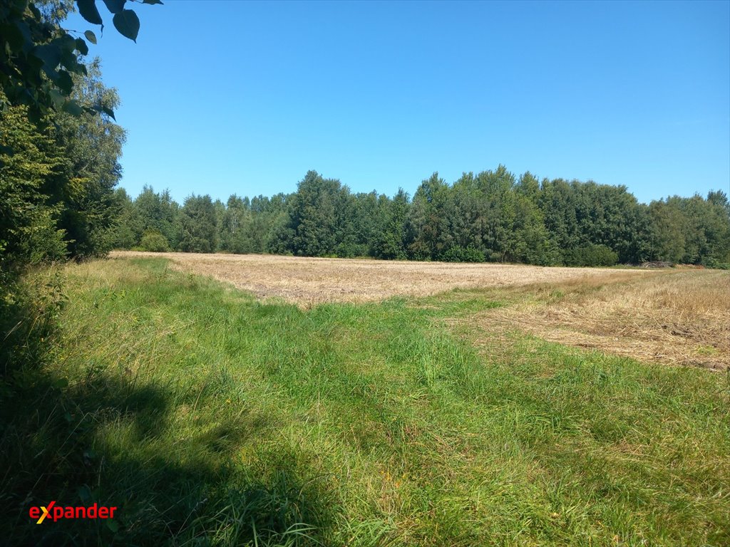 Do sprzedania działka 1,82 ha z możliwością dokupienia w Likiecu Likiec  18 200m2 Foto 1