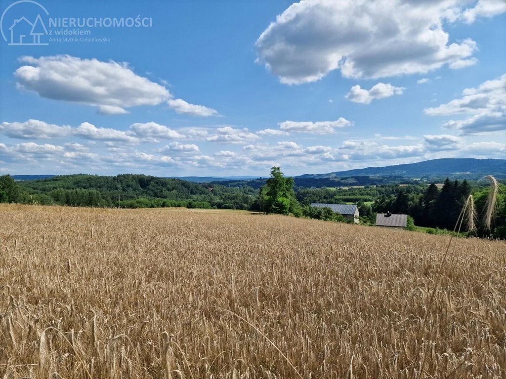 Działka budowlana na sprzedaż Błażkowa  2 200m2 Foto 7