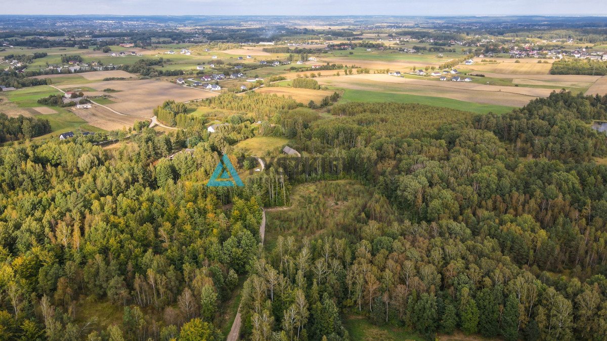 Działka budowlana na sprzedaż Skrzeszewo Żukowskie, Leśna  11 811m2 Foto 12